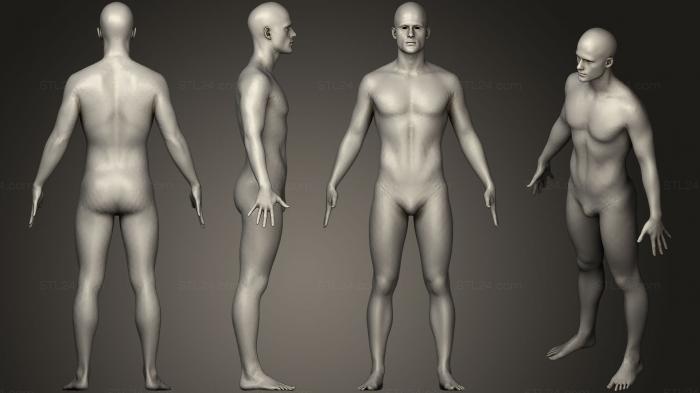 Anatomy of skeletons and skulls (Human Man Scan, ANTM_0710) 3D models for cnc